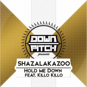 Hold Me Down album cover