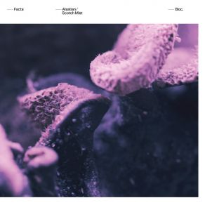 Alsatian / Scotch Mist album cover