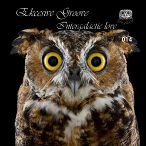 Intergalactic Love album cover