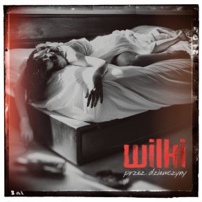 Przez Dziewczyny album cover