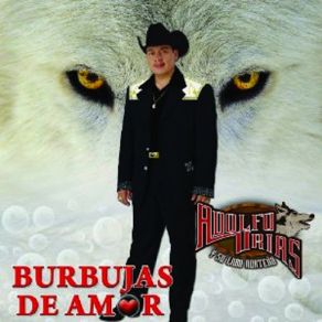 Burbujas De Amor album cover