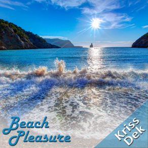 Beach Pleasure album cover