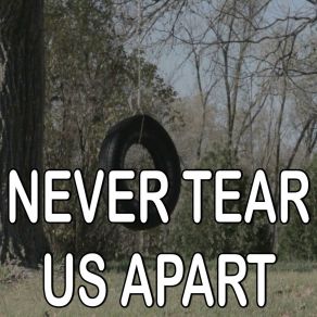 Never Tear Us Apart - Tribute To INXS album cover