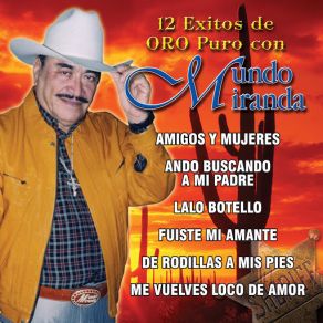 12 Exitos De Oro Puro album cover