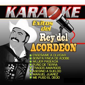 Exitos Del Rey Del Acordeon album cover