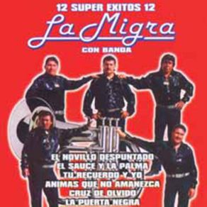 12 Super Exitos Con Banda album cover
