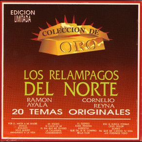 Coleccion De Oro " 20 Temas Originales " album cover