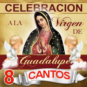 Celebracions A La Virgen De Guadalupe, 8 Cantos album cover
