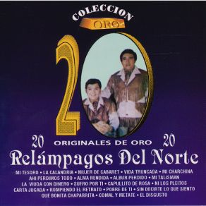Coleccion De Oro " 20 Originales De Oro " album cover