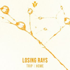 Trip \ Home album cover