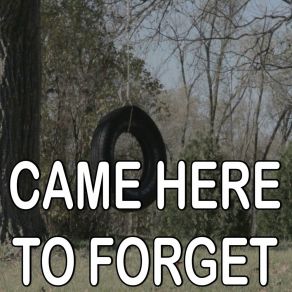 Came Here To Forget - Tribute To Blake Shelton album cover