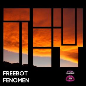 Fenomen album cover