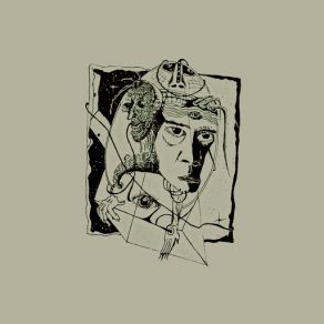Arañas El La Sombra album cover
