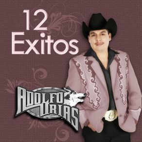 12 Exitos album cover