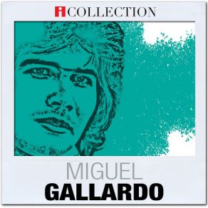 ICollection album cover
