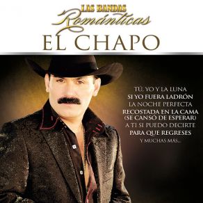 Las Bandas Románticas album cover