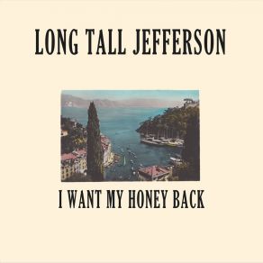 I Want My Honey Back album cover