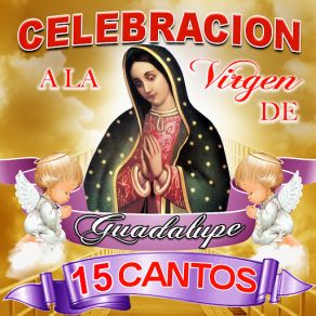 Celebracion A La Virgen De Guadalupe, 15 Cantos album cover
