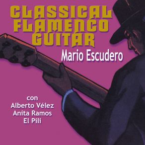 Classical Flamenco Guitar album cover