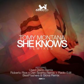 She Knows Remixes album cover