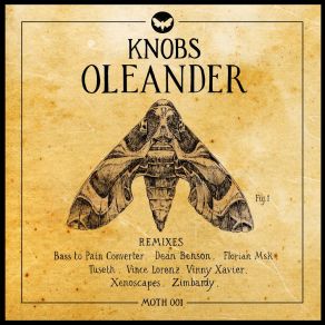 Oleander (Remixes) album cover