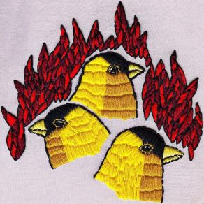 Impossible Animals album cover