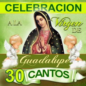 Celebracion A La Virgen De Guadalupe, 30 Temas album cover