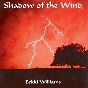 Shadow Of The Wind album cover