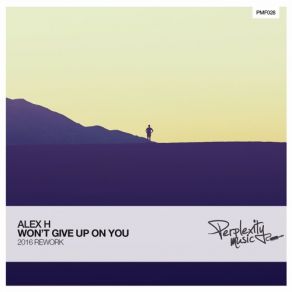 Wont Give Up On You (2016 Rework) (Single) album cover