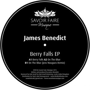 Berry Falls (Maxi-Single) album cover