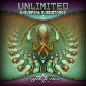 Universal Substistence album cover