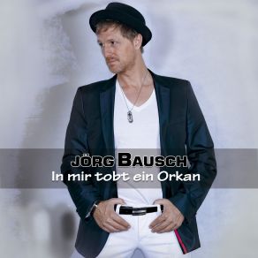 In Mir Tobt Ein Orkan (Single) album cover