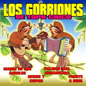 10 Grandes Exitos album cover