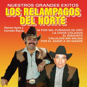 Nuestros Grandes Exitos album cover