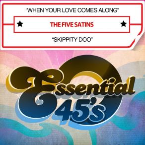 When Your Love Comes Along / Skippity Doo (Digital 45) album cover
