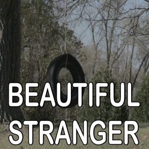 Beautiful Stranger - Tribute To Toby Keith album cover