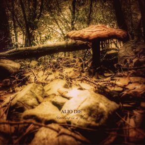 Standing In A Place album cover