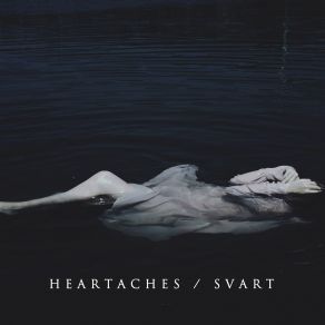 Svart album cover