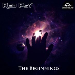 The Beginnings album cover