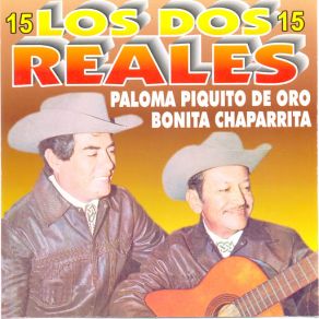 15 Exitos De Oro album cover