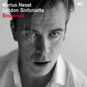 Snowmelt album cover