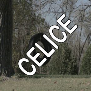 Celice - Tribute To A-Ha album cover