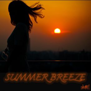 Summer Breeze (Single) album cover