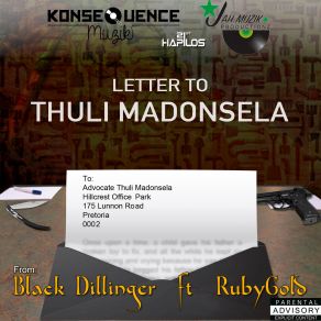 Letter To Thuli Madonsela (Single) album cover