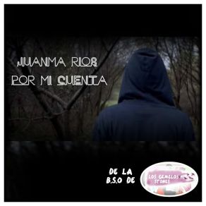 Por Mi Cuenta (De " Los Gemelos Stones ") album cover