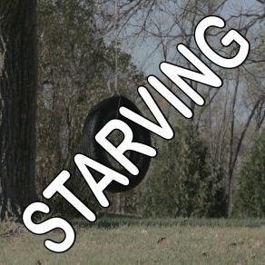 Starving - Tribute To Hailee Steinfeld And Grey And Zedd album cover