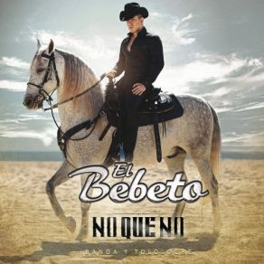 No Que No (Banda Y Tololoche) album cover