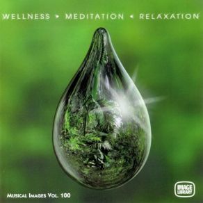 Wellness Meditation Relaxation album cover