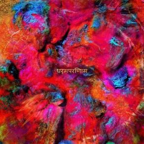 धर्मपरिणाम album cover