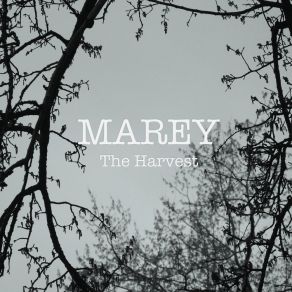 The Harvest album cover